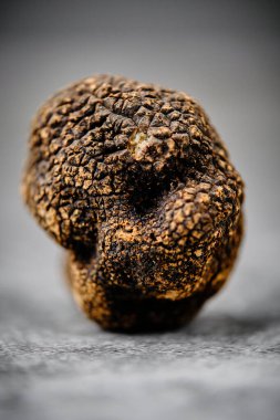 Siyah arkaplandaki taze mantarların stok fotoğrafı..