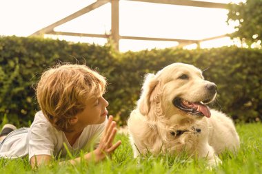 Tüylü Golden Retriever köpeğiyle yeşil çayırda uzanan çocuk.