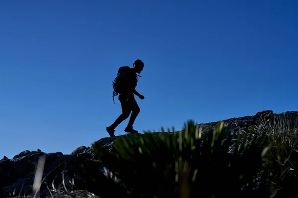 夕暮れ時の青い空に対して山の中で岩の崖の端にバックパックを歩くと認識できない旅行者のシルエットの低角度側のビュー — ストック写真
