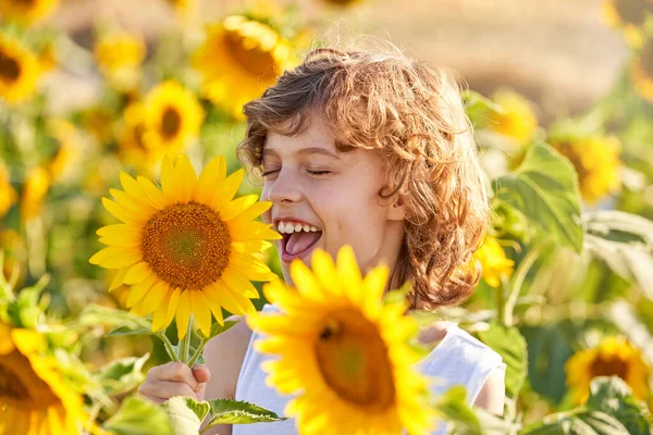 Ξέγνοιαστο Αγόρι Ξανθά Σγουρά Μαλλιά Χαμογελώντας Ενώ Κοιτάζει Ανθισμένα Ηλιοτρόπια — Φωτογραφία Αρχείου