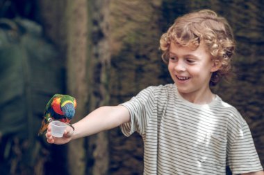 Kıvırcık sarı saçlı mutlu çocuk yaz günü hayvanat bahçesinde elinde plastik bardakla renkli papağanı besliyor.