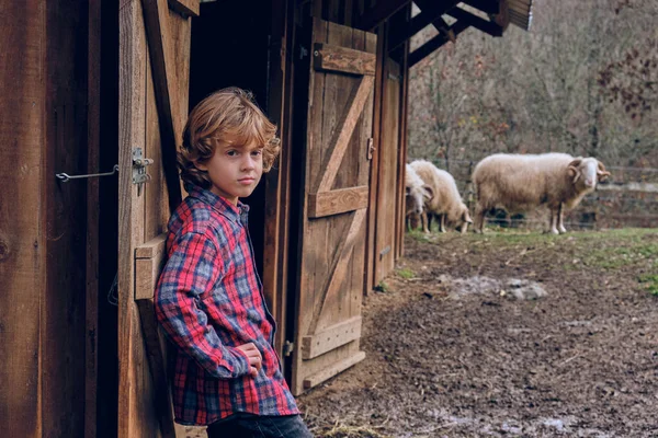 田舎のふわふわの牧草地で芝生の木製納屋の近くに立って カメラを見ている子供の側面 — ストック写真