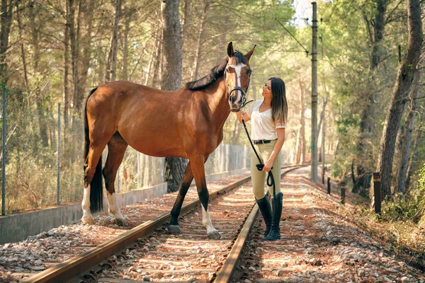 Восхитительная Женщина Конница Каштановой Лошадью Железной Дороге Лесу Солнечный День — стоковое фото