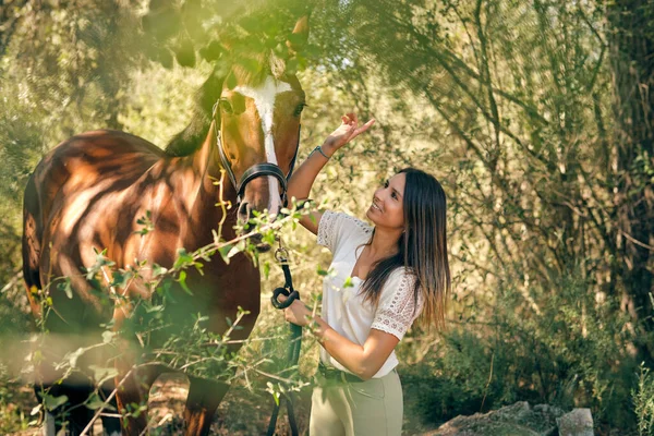 Iloinen Hevosnainen Seisoo Ruskea Hevonen Keskellä Vihreitä Puita Metsässä Kesällä — kuvapankkivalokuva