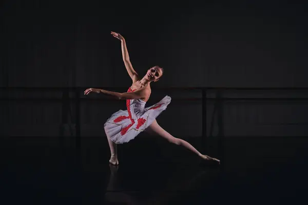 Cuerpo Completo Bailarina Sensual Traje Escénico Tutú Bailando Papel Ballet —  Fotos de Stock