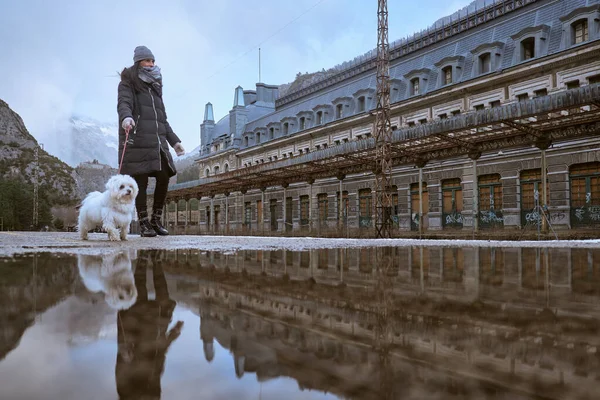 寒冷天气下 山区城市里身着保暖衣服 与马耳他犬一起在街上散步的基层女性 — 图库照片