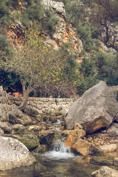 Malerische Landschaft Von Kleinen Schnellen Wasserfall Fließt Durch Felsige Felsbrocken — Stockfoto