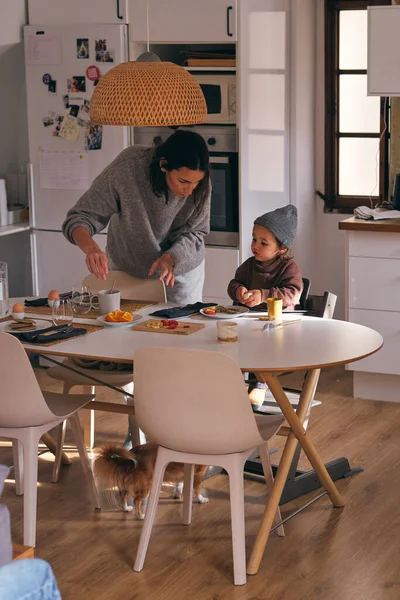 Dikkatli Anne Mutfaktaki Sandalyede Oturan Küçük Oğluna Kahvaltı Hazırlıyor — Stok fotoğraf