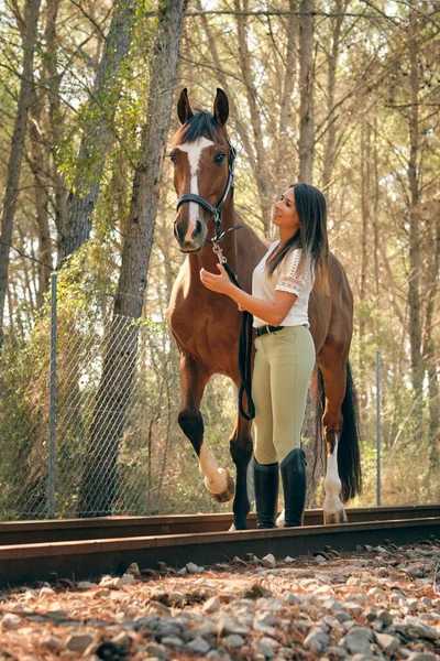 Восхитительная Наездница Послушной Каштановой Лошадью Стоящей Железной Дороге Лесу Солнечный — стоковое фото
