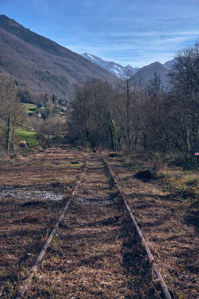 Vergessene Eisenbahnstraße Mit Trockenem Gras Die Durch Kahle Bäume Zur — Stockfoto