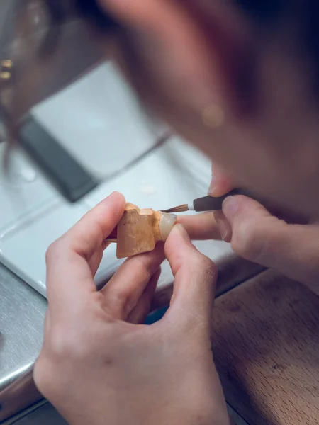 실험실에서 일하는 브러시를 사용하여 세라믹 치아를 착색하는 전문가 — 스톡 사진