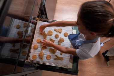 Yüksek açılı ekin çocuğu farklı şekilli bisküvileri evdeki mutfak kağıdına koyuyor.