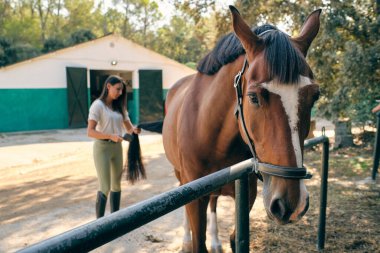 Bulanık dişi binici, uzun kuyruklu kestane atını dizginliyor kırsal kesimdeki çayırlarda tırabzanların yanında duruyor.