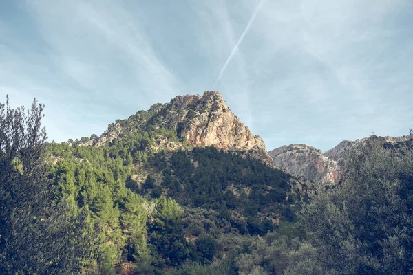 Dołu Szczyt Surowej Góry Pokryty Zielonymi Krzewami Przeciwko Zachmurzonemu Błękitnemu — Zdjęcie stockowe