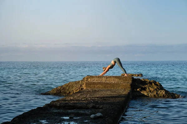 Yoga Eğitimi Sırasında Kayalık Iskelede Bulutlu Gökyüzüne Karşı Eğilen Esnek — Stok fotoğraf