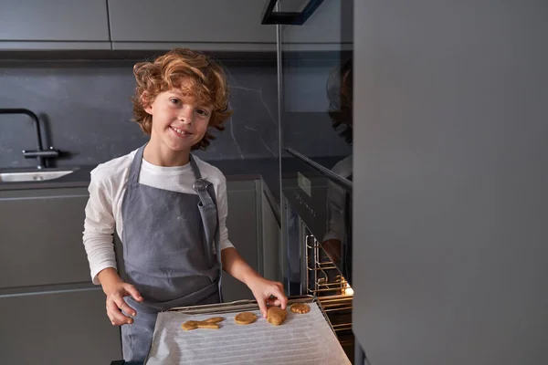 Enfant Souriant Dans Tablier Gris Mettant Des Biscuits Forme Différente — Photo