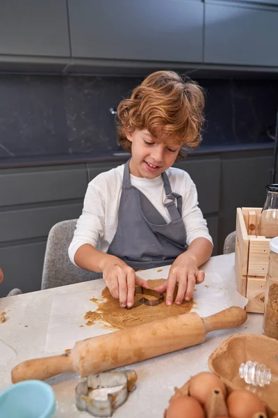 Glad Boy Gray Apron Cutting Raw Cookie Dough Sharp Cutter — Stock Photo, Image