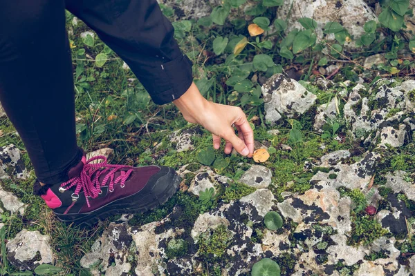 Crop Unrecognizable Female Hiker Boots Taking Dry Leaf Stony Ground — Stock Photo, Image