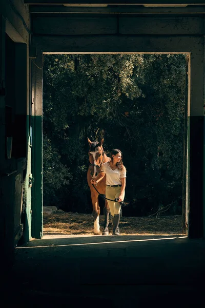 Feminino Equestre Segurando Rédeas Levando Castanha Cavalo Celeiro Madeira Rancho — Fotografia de Stock
