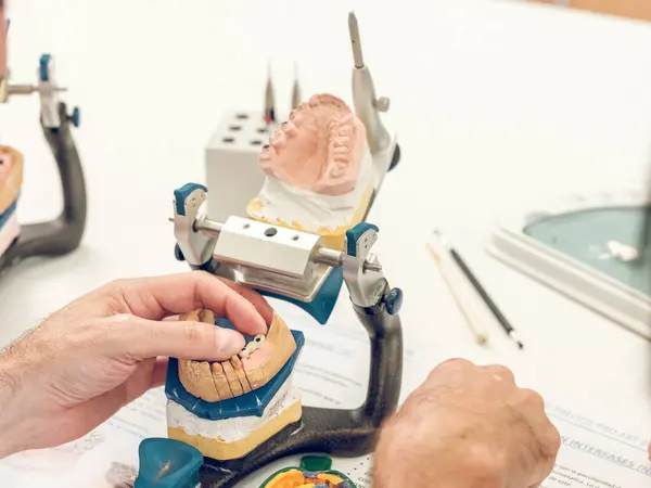 Yukarıdan tanımlanamayan erkek diş teknisyeni diş laboratuarında çalışırken çene hareketlerini taklit eden eklem makinesi kullanarak takma diş modelleri yapıyor