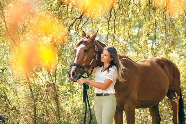 Delighted female equestrian standing in woods and hugging chestnut horse while looking away and enjoying sunny day