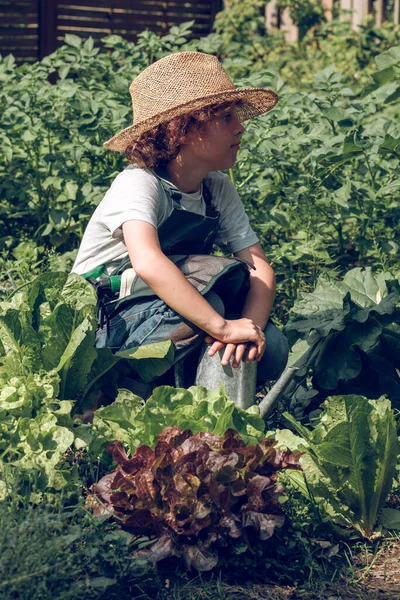 Şapkalı Sakin Çocuk Bahçeye Bakarken Bitkilerin Yanında Metal Sulama Tenekesi — Stok fotoğraf