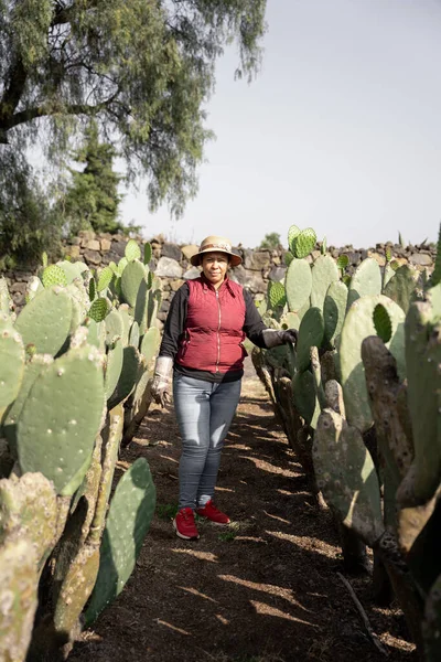 Portrait Adult Woman Posing Nopal Field Harvest Concept Mexican Agriculture — Foto de Stock
