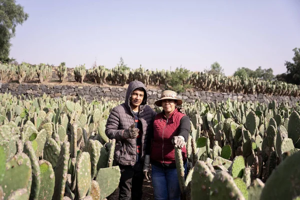 Mother Son Posing Nopal Field While Working Harvest Concept Mexican — Stock Photo, Image