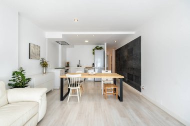 Minimum tarzda tasarlanmış rahat mobilyaları olan geniş stüdyo dairenin modern iç mimarisi.