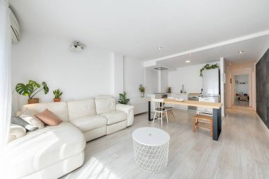 Minimum tarzda tasarlanmış rahat mobilyaları olan geniş stüdyo dairenin modern iç mimarisi.