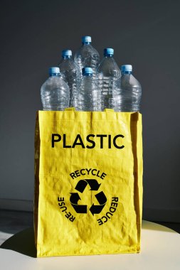Çevre koruma ve çöp ayıklama kavramı için geri dönüşüm ve yeniden kullanıma hazır içi boş plastik şişelerle dolu parlak çanta