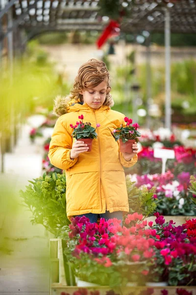 Focused Preschool Boy Warm Yellow Jacket Looking Blooming Potted Flowers — Stock Photo, Image
