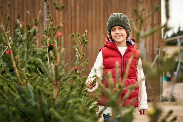 Adorable Niño Ropa Abrigo Sombrero Pie Cerca Verdes Árboles Navidad —  Fotos de Stock