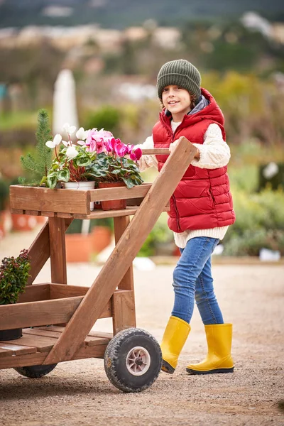 植物の中心で育っている鍋で咲く鮮やかな花と木の庭のカートを転がす暖かい衣装を身に着けている愛らしい足の少年全身 — ストック写真