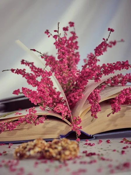 ピンクのヒーザーの花とスタジオで白い背景に甘いシリアルクッキーとテーブルの上に虫眼鏡で本を開きます — ストック写真