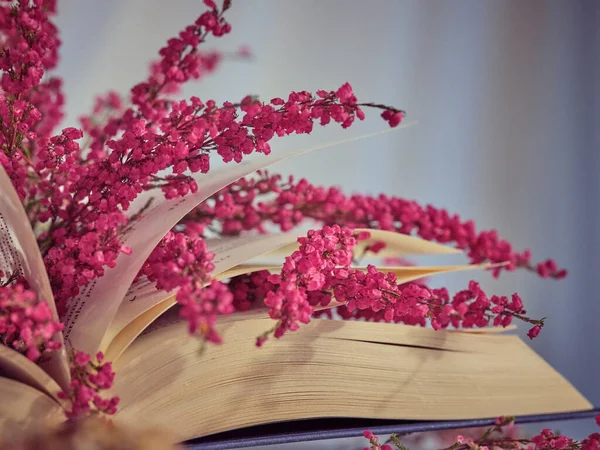 Öppnad Bok Med Färgglada Rosa Kvistar Ljung Blommor Med Små — Stockfoto