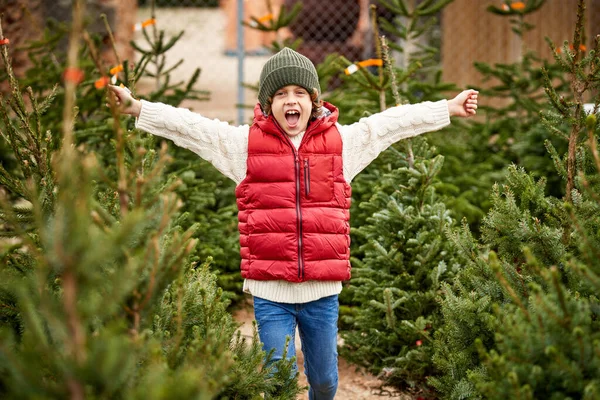 Cheerful Boy Outerwear Hat Standing Outstretched Arms Coniferous New Year — Stock Photo, Image