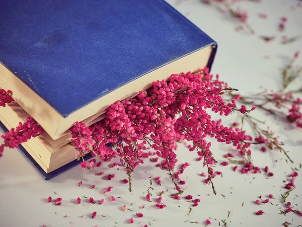 Från Ovan Stängd Bok Med Kvistar Ljust Rosa Ljung Blommor — Stockfoto