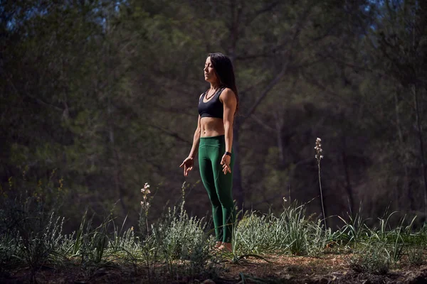 Yoga Seansı Sırasında Mountain Asana Meditasyon Yaparken Ormanda Dikilen Uzun — Stok fotoğraf