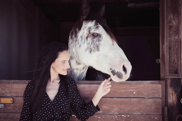 Proprietário Feminino Atraente Vestido Preto Tocando Focinho Cavalo Branco Obediente — Fotografia de Stock