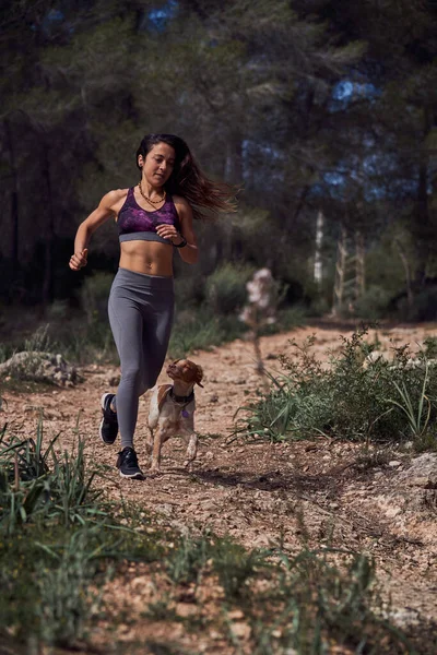 公园里 一群体格健壮 一头乌黑长发 身强体壮的年轻女运动员 身穿运动服 和可爱的小狗在一条狭窄的小径上慢跑 — 图库照片