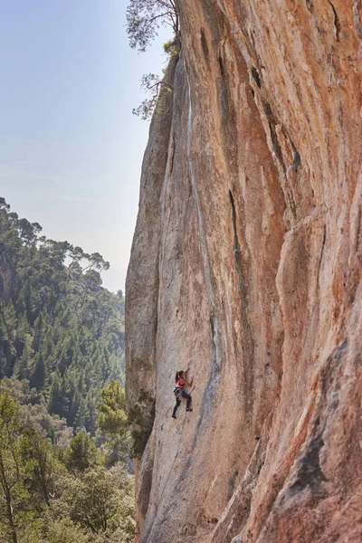 Distanzierte Starke Bergsteigerin Klettert Schroffen Felswänden Während Des Trainings Einem — Stockfoto