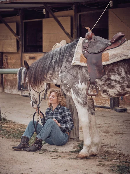 Corpo Inteiro Cavalo Conteúdo Sentado Poste Madeira Com Cavalo Manchado — Fotografia de Stock