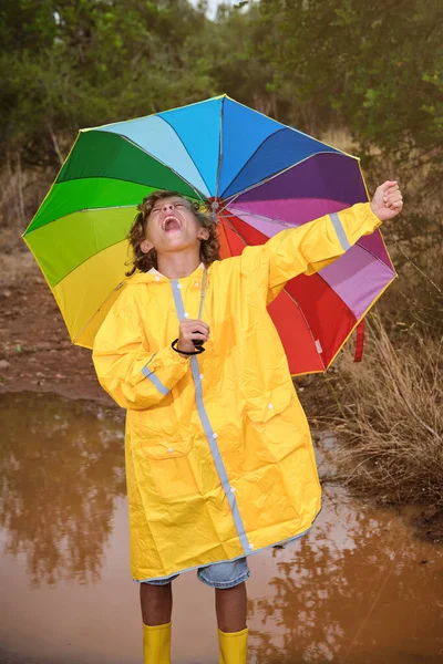 Excited Child Rainbow Umbrella Yellow Raincoat Gumboots Standing Puddle Forest — Stock Photo, Image
