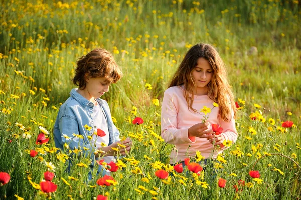 Мальчик Девочка Собирают Свежие Цветы Время Отдыха Зеленом Поле Солнечный — стоковое фото