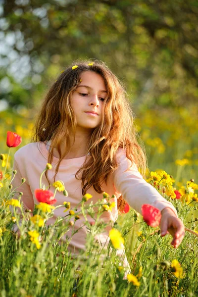 Chica Con Pelo Largo Relajante Campo Hierba Recoger Flores Frescas —  Fotos de Stock