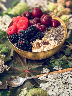 Yüksek açılı lezzetli kahvaltı kasesi, güpegündüz masaya konmuş böğürtlen ve chia tohumları.