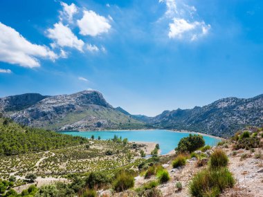 Sakin göl kıyısında yeşil ağaçlar ve çalılarla çevrili engebeli dağ sıralarıyla çevrili vahşi doğada mavi gökyüzüne karşı.
