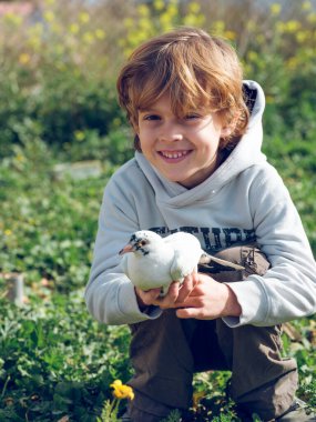 Sevimli, mutlu, sarı saçlı, sıradan elbiseli küçük çocuk çimenli çayırlarda popolarında otururken gülümsüyor ve kırsal kesimde güneşli bir günde beyaz sakin güvercinleri okşuyor.