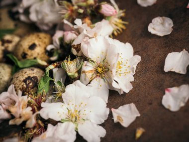 Kahverengi masanın üzerine bıldırcın yumurtaları yerleştirilmiş yumuşak beyaz çiçek tomurcukları ve taç yapraklarının yakın görüntüsü.